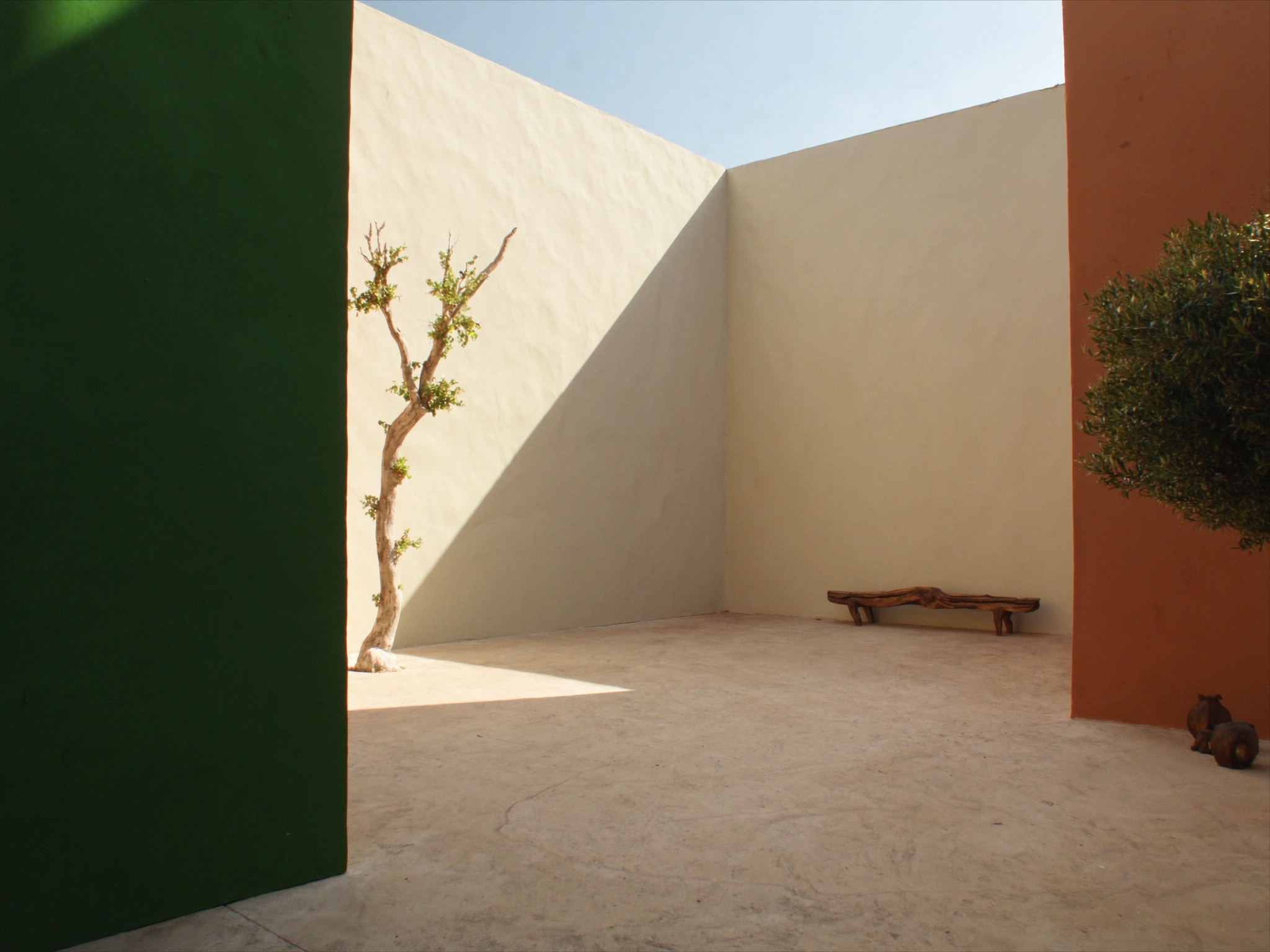 Patio de arquitectura mexicana con muro verde, muros de arena y un muro terracota bajo luz de mañana
